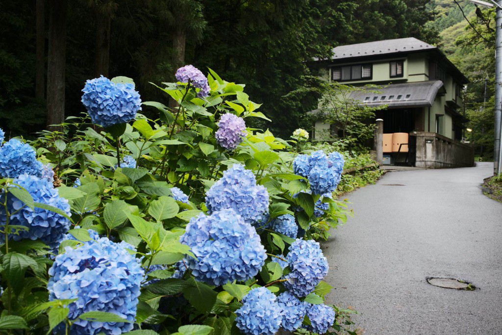 池坊花いけ道場高尾教室