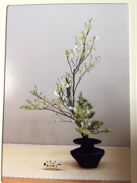 お花の会（津田沼教室）