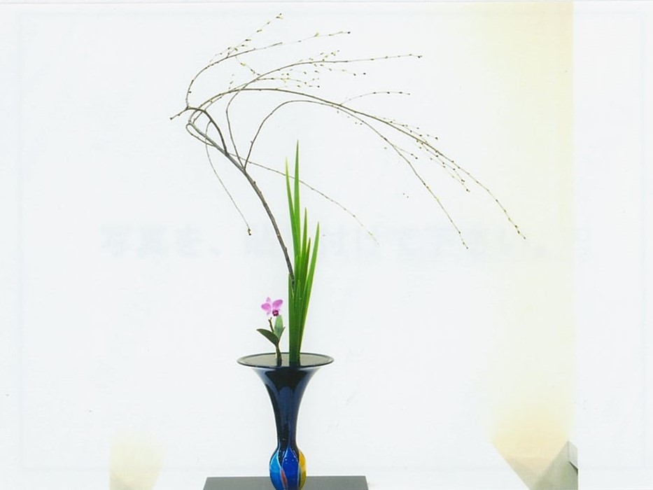 池坊　瀬田いけ花教室