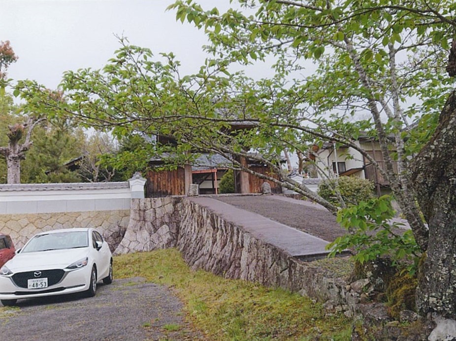 安藤昭代　池坊いけばな教室