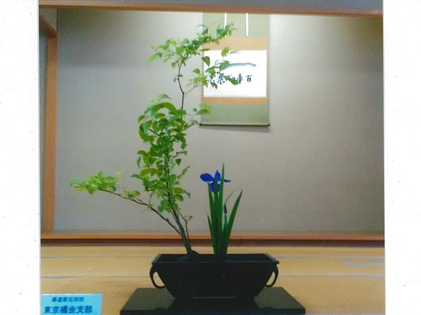 池坊いけばな教室