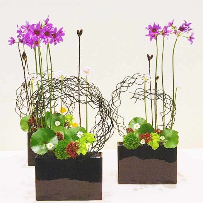 大下公子いけ花・茶道学院