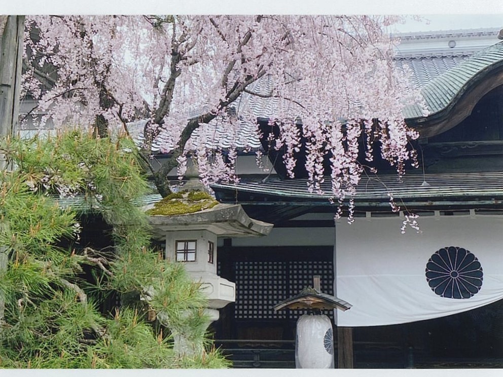 村上三鈴　善光寺いけばな教室