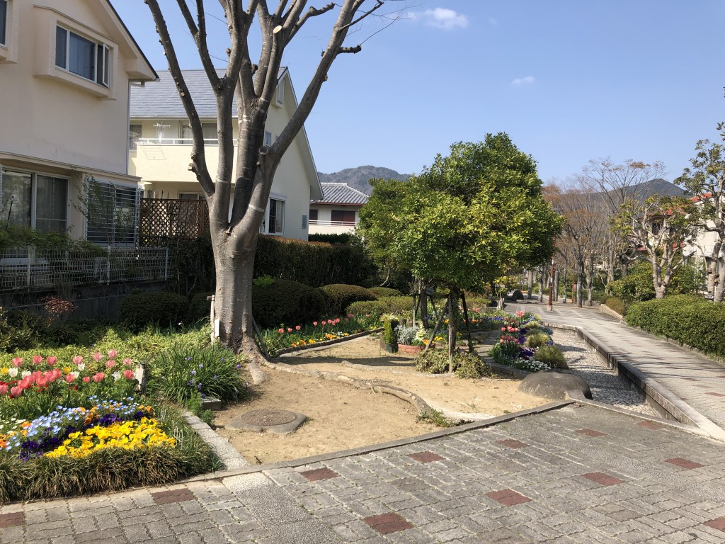 神戸北町日の峰　池坊いけばな教室