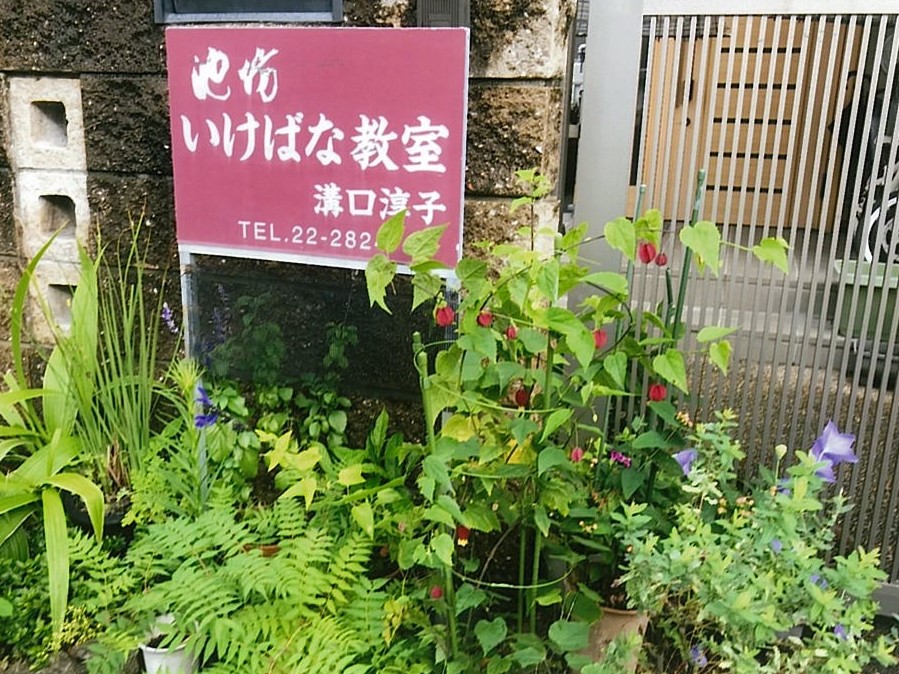 池坊いけばな教室