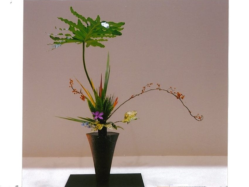 華道家元池坊 福田いけばな教室 - 【池坊公式】全国のいけばな教室検索