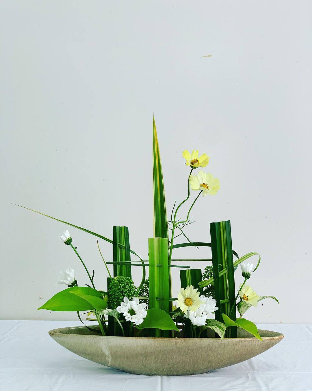 中古】 池坊生花の学び方 伝花と変化形 / 嘉ノ海新二、日本華道