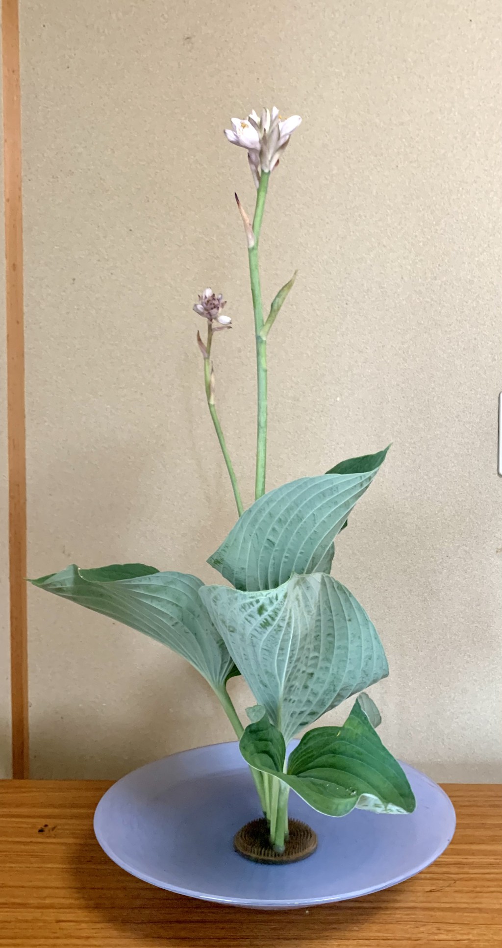 池坊工藤いけばな教室