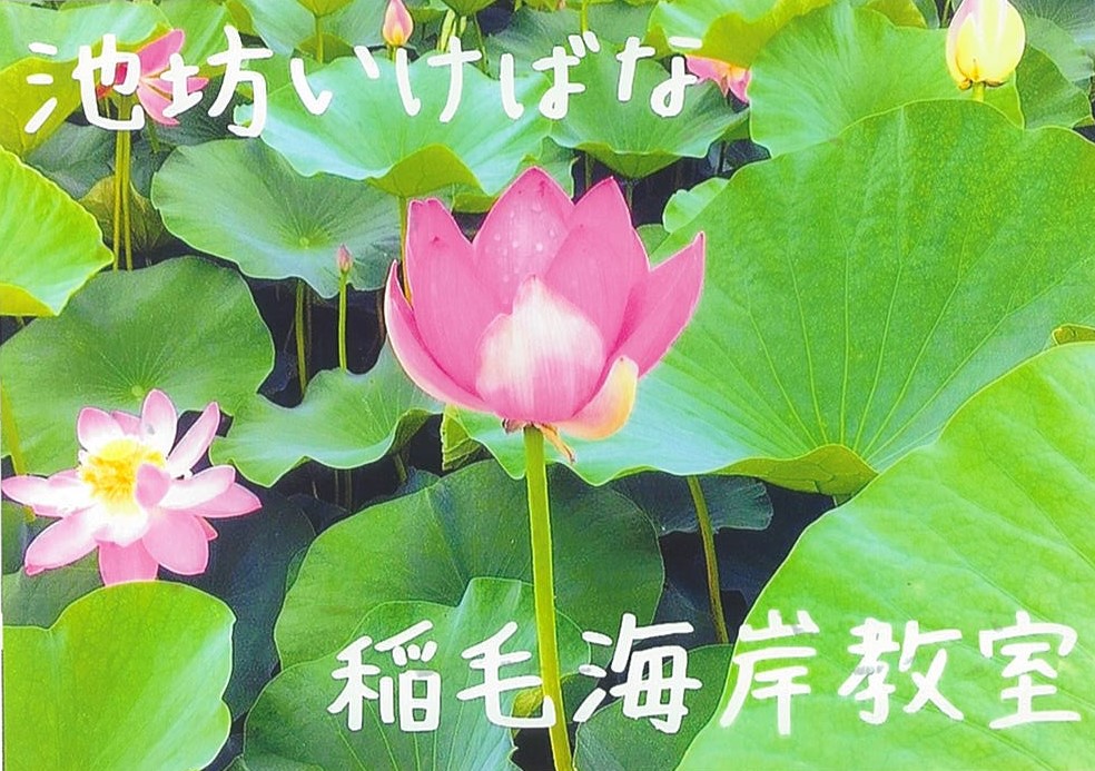 池坊いけばな　稲毛海岸教室