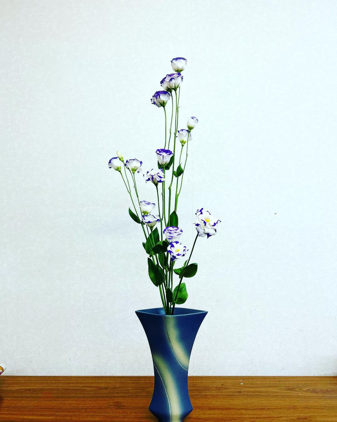 土曜日の生花お稽古とトルコ桔梗の魅力❤️ - 【池坊公式】全国の