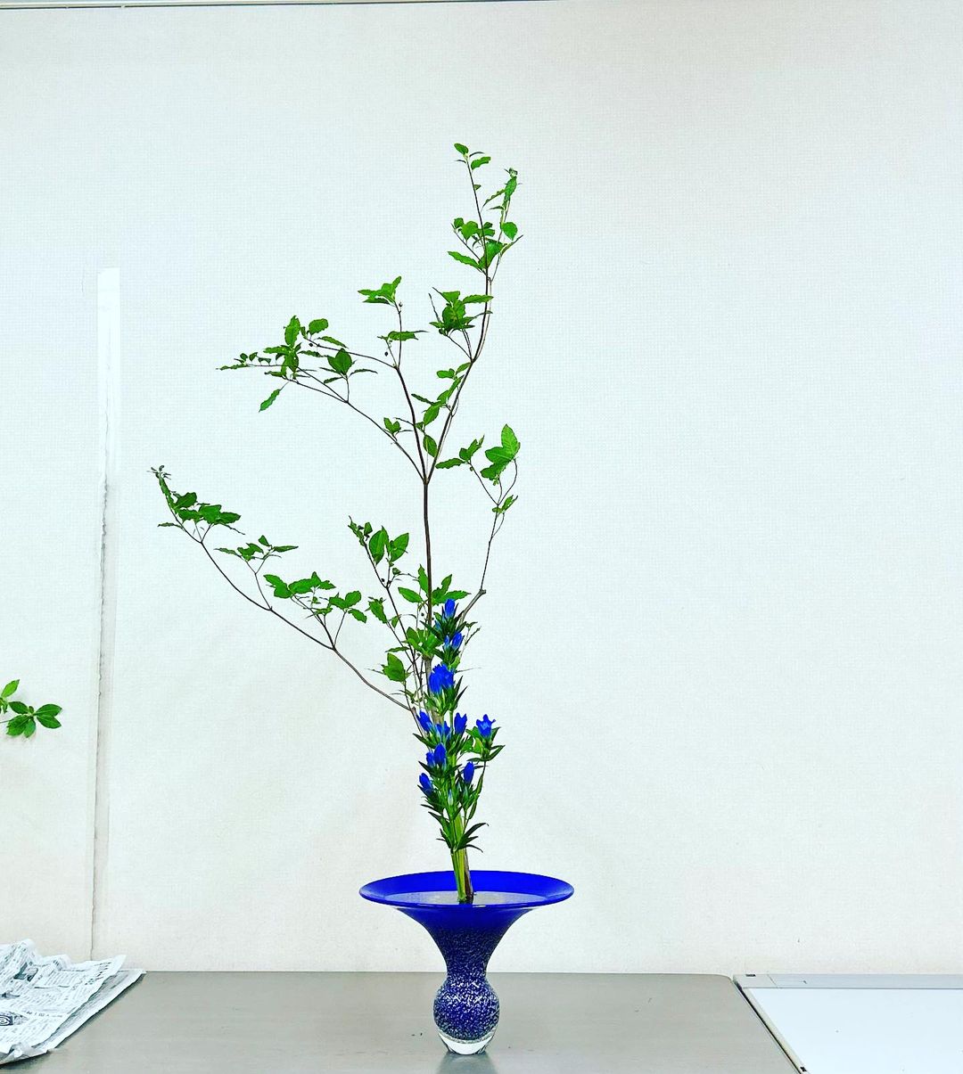 池坊　いけばな　華道　　青と半透明ガラスの壁掛け用　花器 池坊 いけばな 華道 青と半透明ガラスの壁掛け用 花器 池坊 いけばな