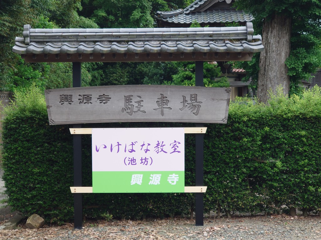 興源寺 龍嶋亨 池坊いけばな教室
