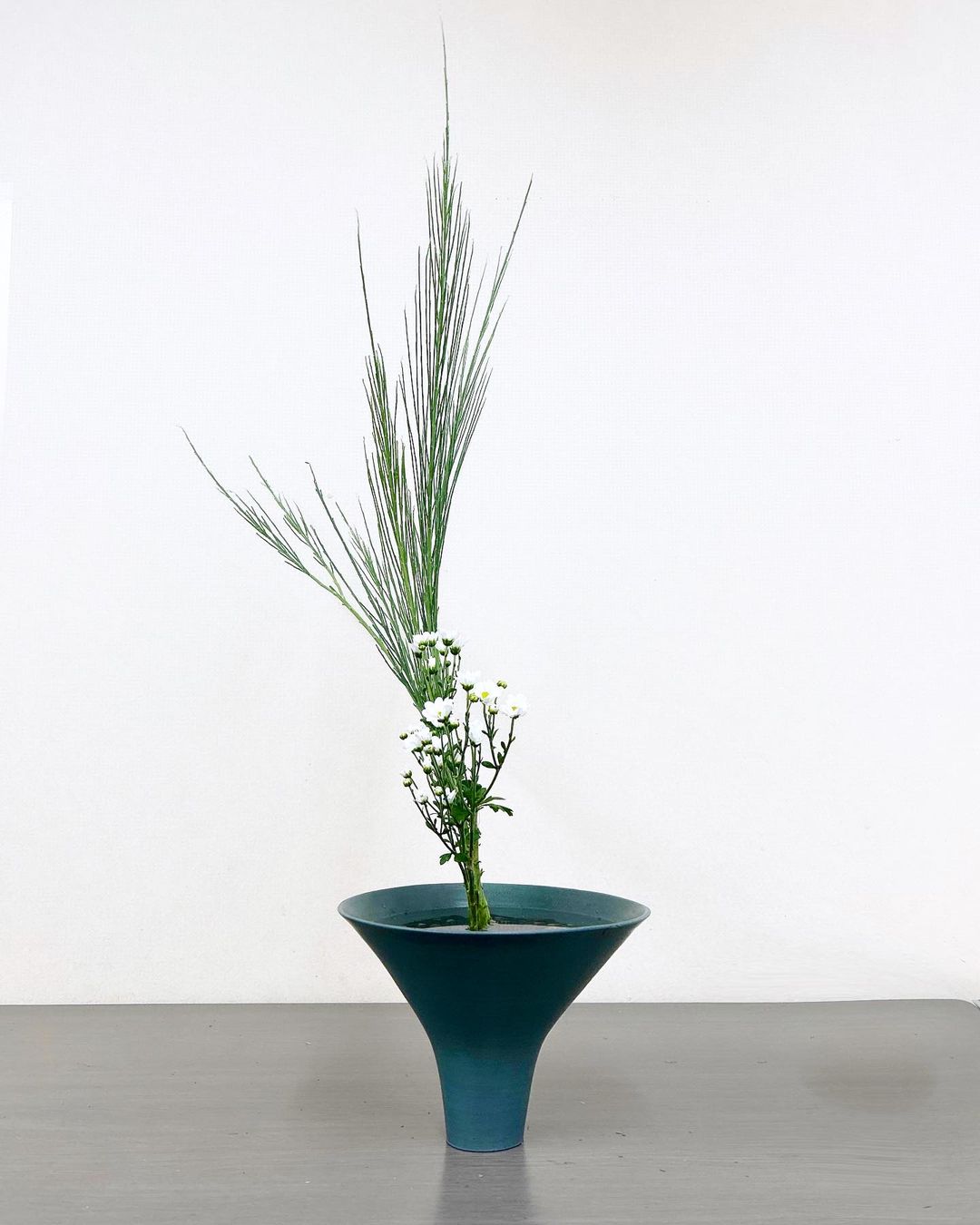 華道の魔法：エニシダとの初めての出会い - 【池坊公式】全国の