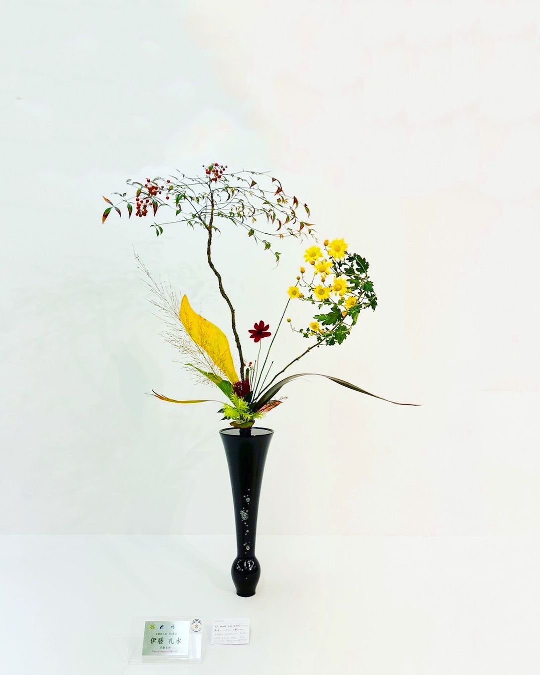 400920121_17980436336609048_45