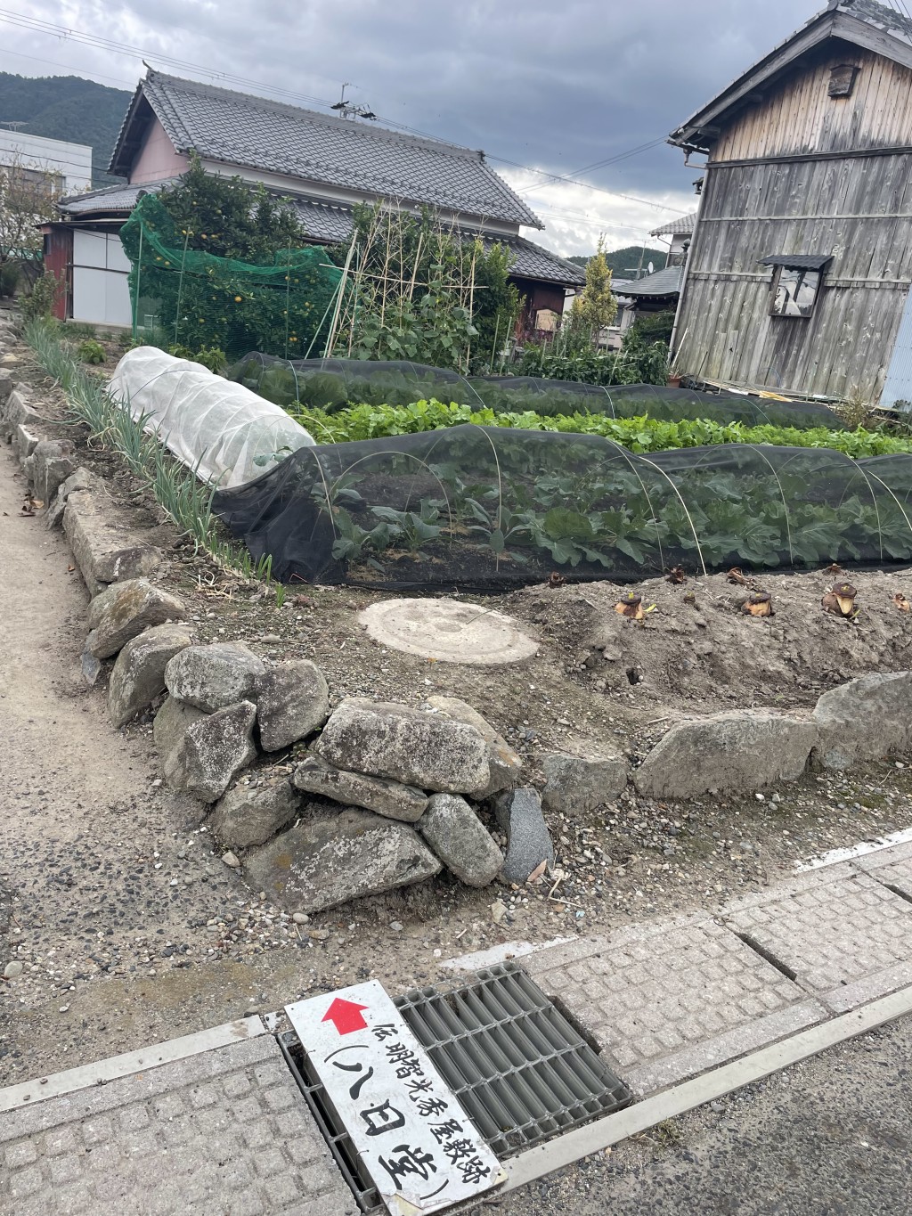 八日堂