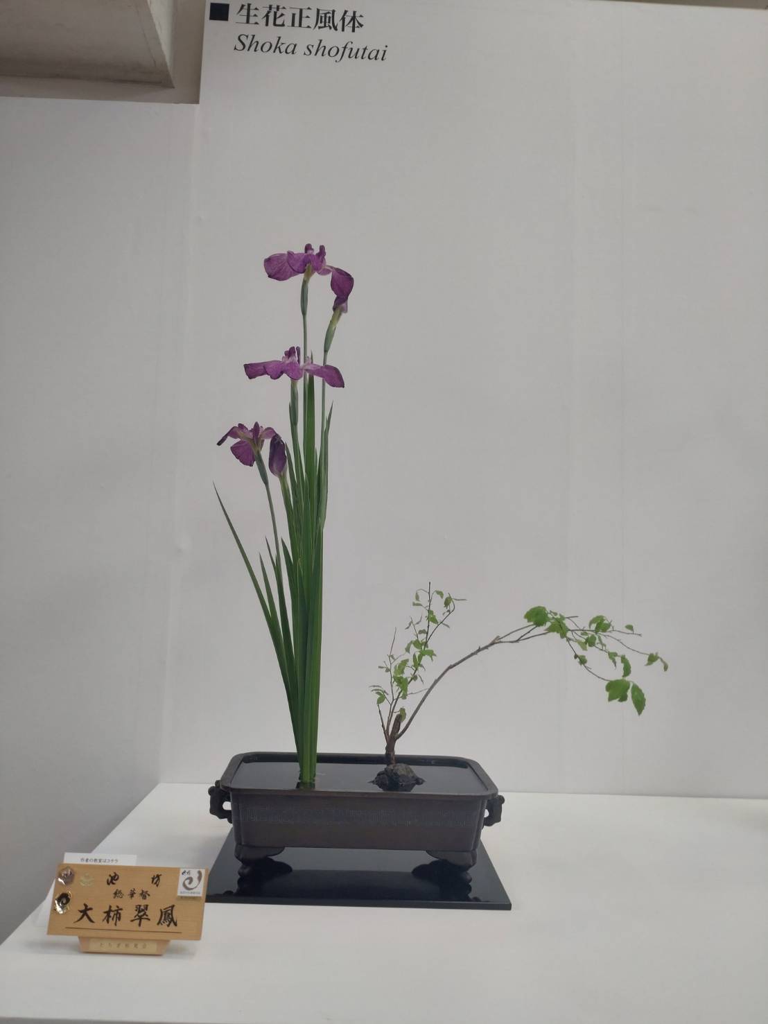 池坊いけばな・おおがき教室