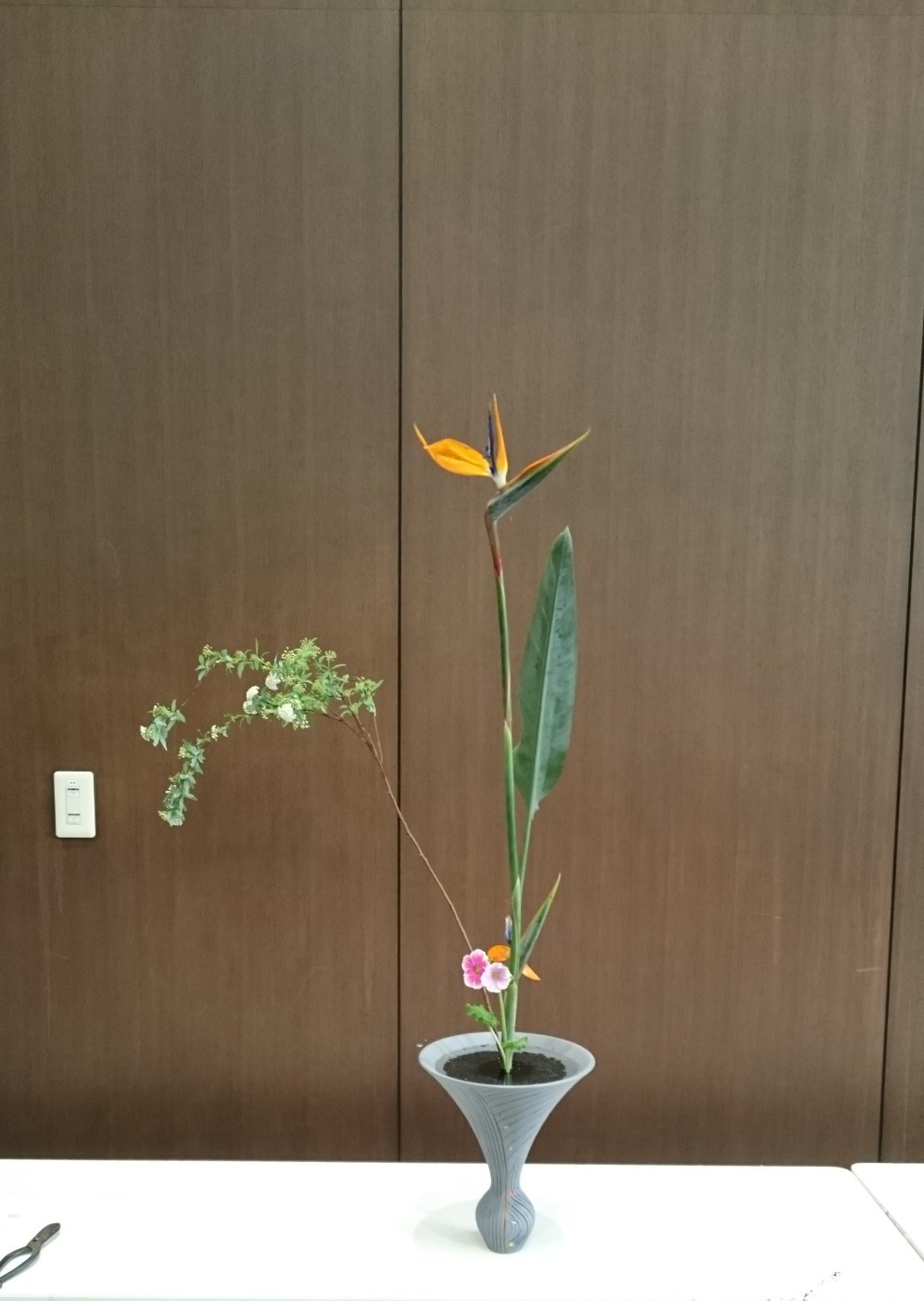 DSC_0579_1550377882902-