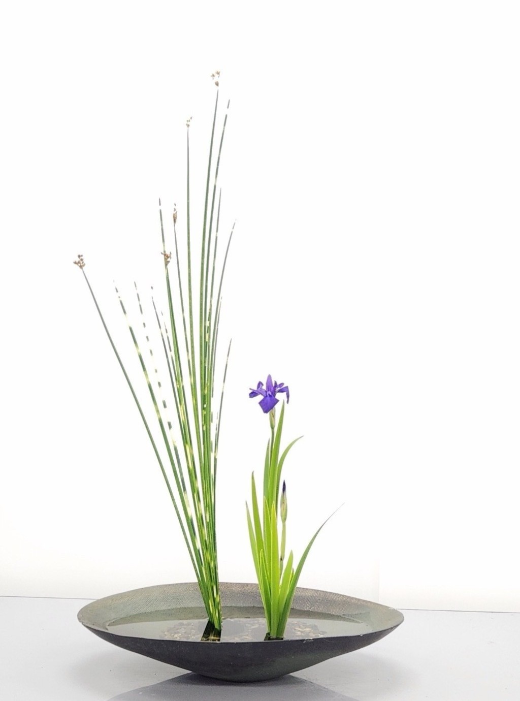 池坊いけばな教室アドリブルーム・きくち