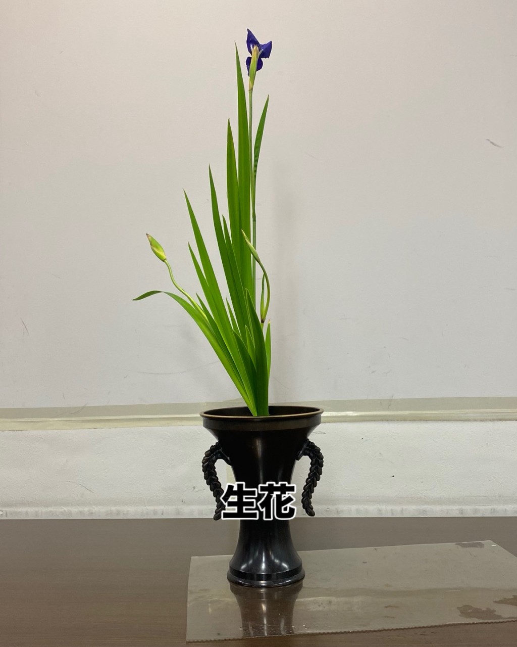 池坊いけばな伊奈教室
