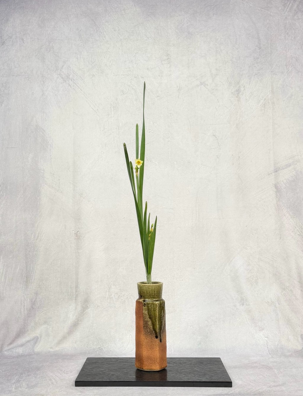 池坊いけばな教室珊瑚社杉並区