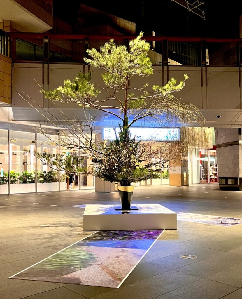 「 はざま、生 」スタート 池坊専宗氏との写真とコラボレーション 超大作新年花