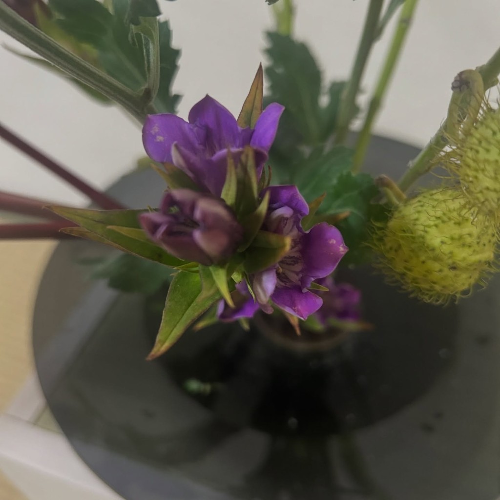 フランスからのいけばな体験|残された花材で生まれた日常の自由花