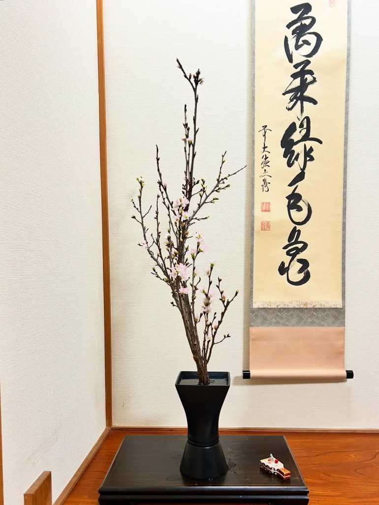 啓翁桜でいける一種いけ ― 又木と剣山