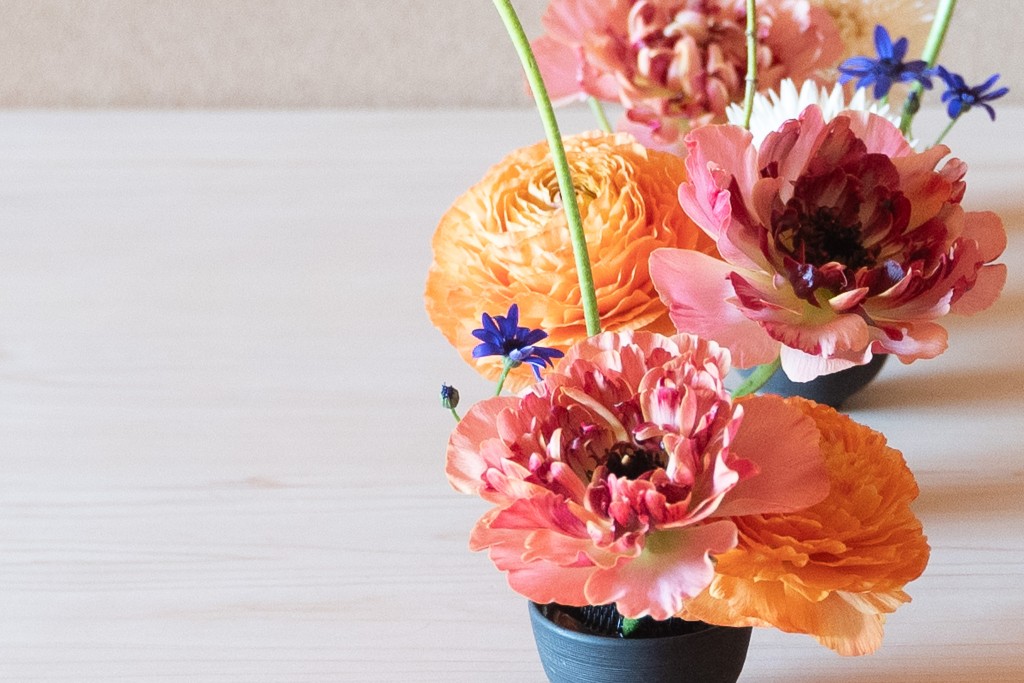 ラナンキュラス