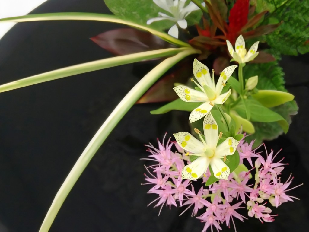 時の花　池坊いけばな教室