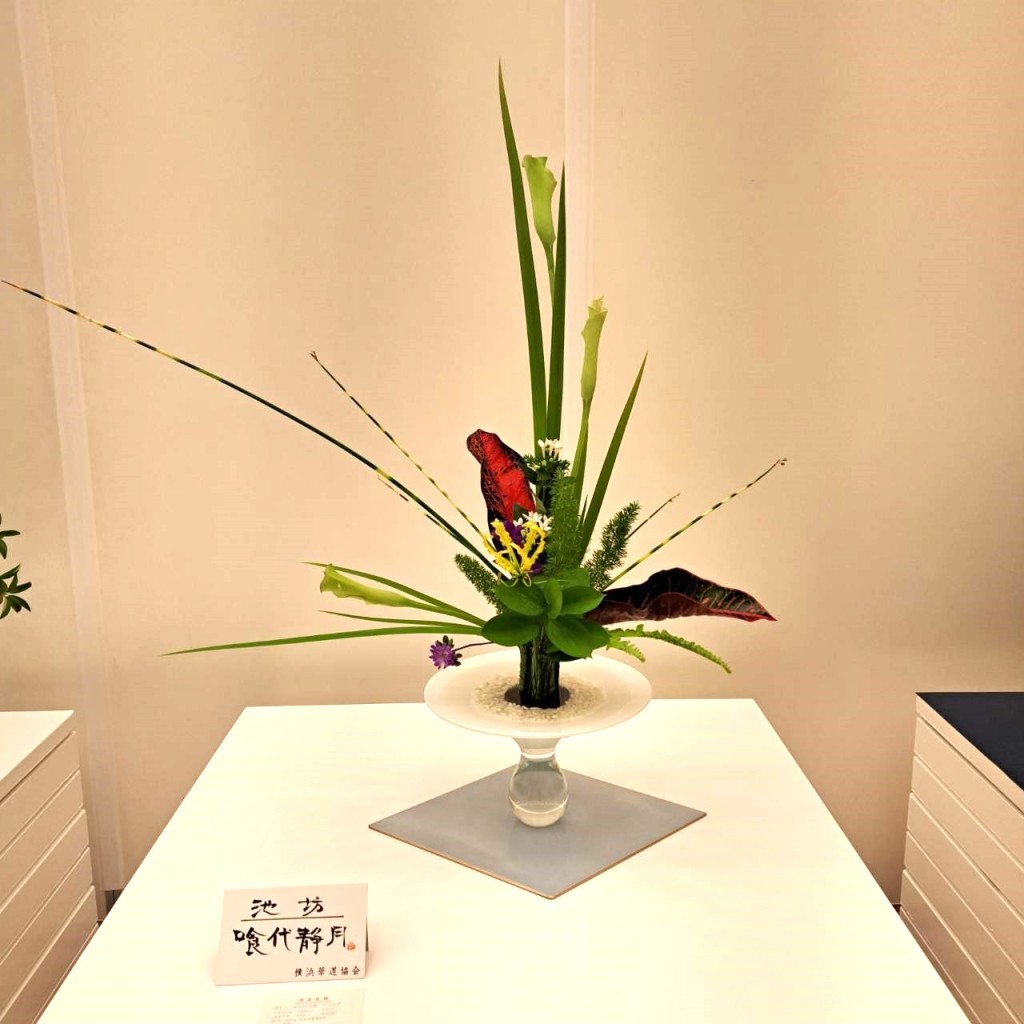 池坊ビギナーズレッスン横浜本牧教室　<br>池坊フラワースタジオ「ほうじろ｣