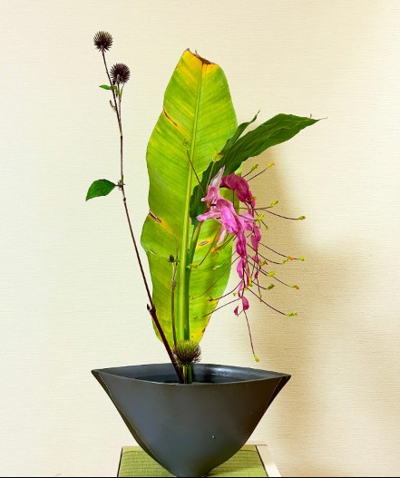 本日の生花新風体